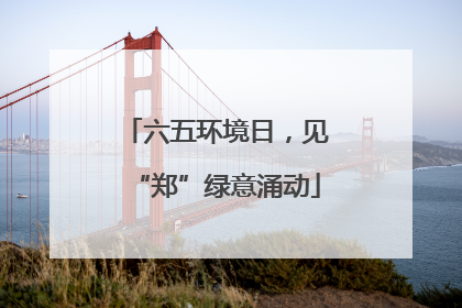 六五环境日，见“郑”绿意涌动