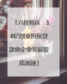 六枝特区：18亿创业担保贷款助企业发展提质加速