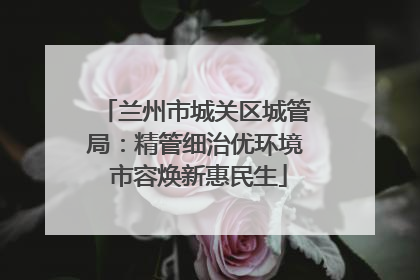 兰州市城关区城管局：精管细治优环境 市容焕新惠民生
