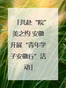 共赴“皖”美之约 安徽开展“青年学子安徽行”活动