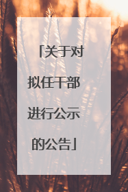 关于对拟任干部进行公示的公告