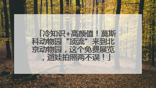 冷知识+高颜值！莫斯科动物园“顶流”来到北京动物园，这个免费展览，遛娃拍照两不误！