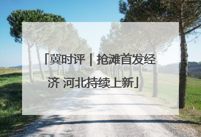 冀时评｜抢滩首发经济 河北持续上新