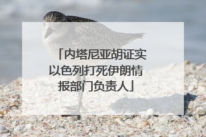 内塔尼亚胡证实以色列打死伊朗情报部门负责人