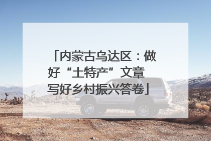 内蒙古乌达区：做好“土特产”文章 写好乡村振兴答卷