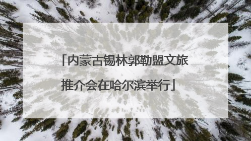 内蒙古锡林郭勒盟文旅推介会在哈尔滨举行