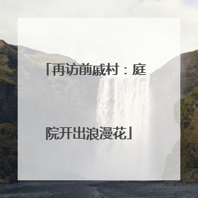再访前戚村：庭院开出浪漫花