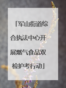 军山街道综合执法中心开展燃气食品双检护考行动