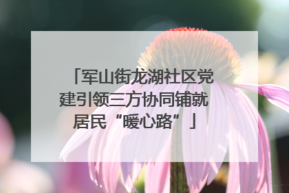 军山街龙湖社区党建引领三方协同铺就居民“暖心路”