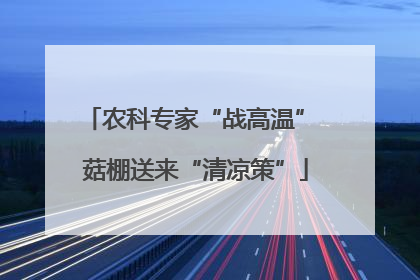 农科专家“战高温” 菇棚送来“清凉策”
