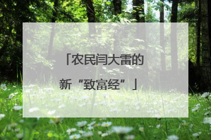 农民闫大雷的新“致富经”