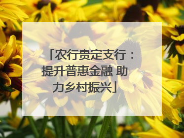 农行贵定支行：提升普惠金融 助力乡村振兴
