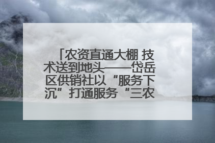 农资直通大棚 技术送到地头——岱岳区供销社以“服务下沉”打通服务“三农”最后一公里