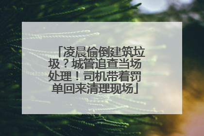 凌晨偷倒建筑垃圾？城管追查当场处理！司机带着罚单回来清理现场