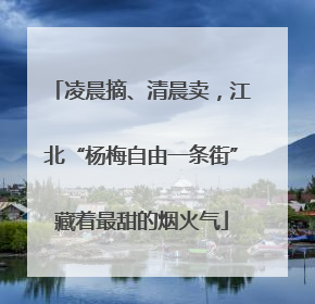 凌晨摘、清晨卖，江北“杨梅自由一条街”藏着最甜的烟火气