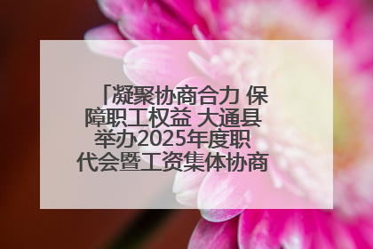 凝聚协商合力 保障职工权益 大通县举办2025年度职代会暨工资集体协商现场观摩交流活动