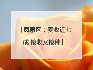 凤泉区：麦收近七成 抢收又抢种