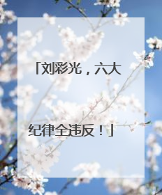 刘彩光，六大纪律全违反！