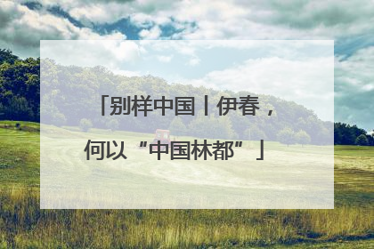 别样中国丨伊春，何以“中国林都”