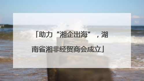 助力“湘企出海”，湖南省湘非经贸商会成立