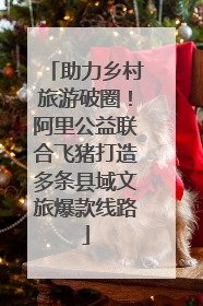 助力乡村旅游破圈！阿里公益联合飞猪打造多条县域文旅爆款线路