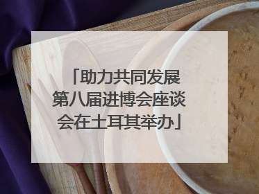 助力共同发展 第八届进博会座谈会在土耳其举办