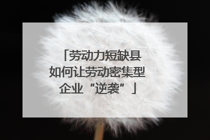 劳动力短缺县 如何让劳动密集型企业“逆袭”