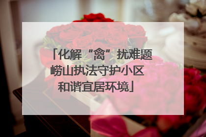 化解“禽”扰难题 崂山执法守护小区和谐宜居环境