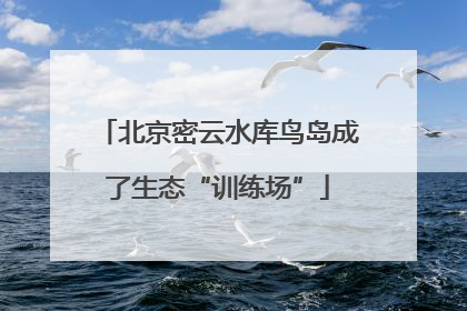 北京密云水库鸟岛成了生态“训练场”