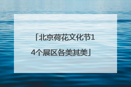 北京荷花文化节14个展区各美其美