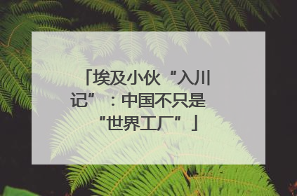 埃及小伙“入川记”：中国不只是“世界工厂”