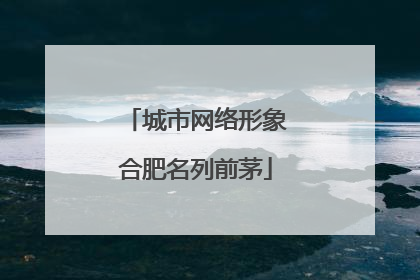 城市网络形象合肥名列前茅