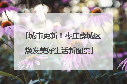 城市更新！枣庄薛城区焕发美好生活新图景