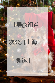 吴彦祖首次公开上海新家