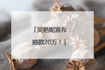 吴艳妮宣布：捐款20万！