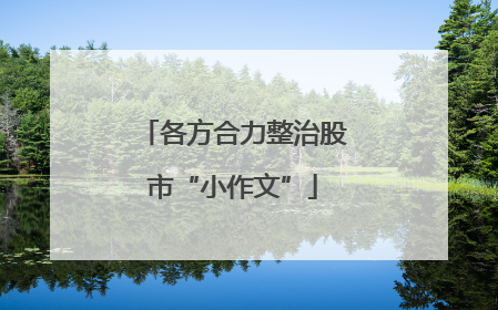 各方合力整治股市“小作文”