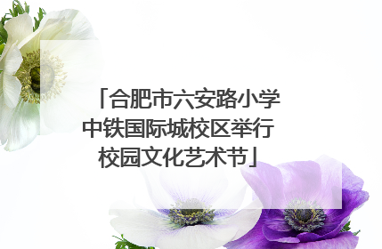 合肥市六安路小学中铁国际城校区举行校园文化艺术节