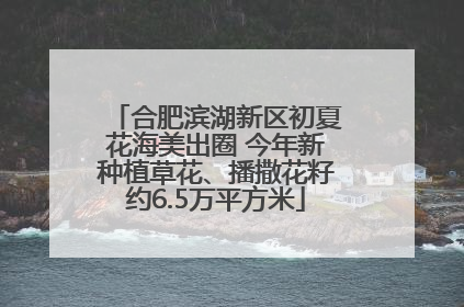 合肥滨湖新区初夏花海美出圈 今年新种植草花、播撒花籽约6.5万平方米