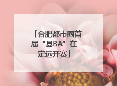 合肥都市圈首届“县BA”在定远开赛