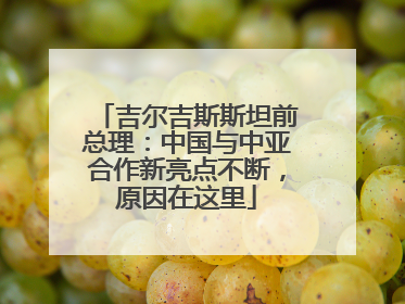 吉尔吉斯斯坦前总理：中国与中亚合作新亮点不断，原因在这里