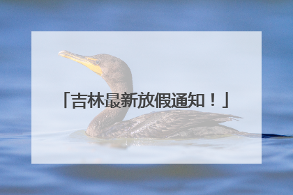 吉林最新放假通知！