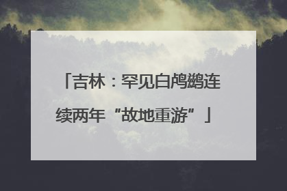 吉林：罕见白鸬鹚连续两年“故地重游”
