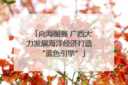 向海图强 广西大力发展海洋经济打造“蓝色引擎”