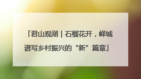 君山观潮｜石榴花开，峄城谱写乡村振兴的“新”篇章