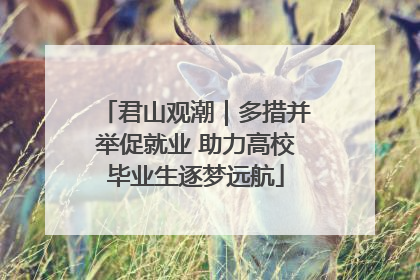 君山观潮｜多措并举促就业 助力高校毕业生逐梦远航