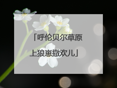 呼伦贝尔草原上狼崽撒欢儿