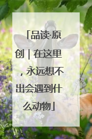 品读·原创｜在这里，永远想不出会遇到什么动物