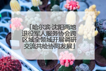 哈尔滨·沈阳两地退役军人服务协会跨区域全领域开展调研交流共绘协同发展