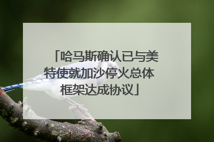 哈马斯确认已与美特使就加沙停火总体框架达成协议