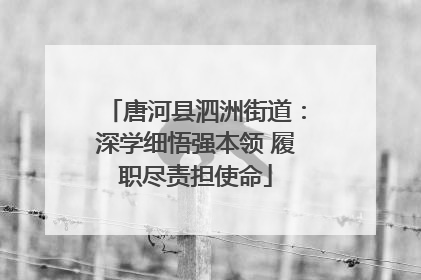 唐河县泗洲街道：深学细悟强本领 履职尽责担使命
